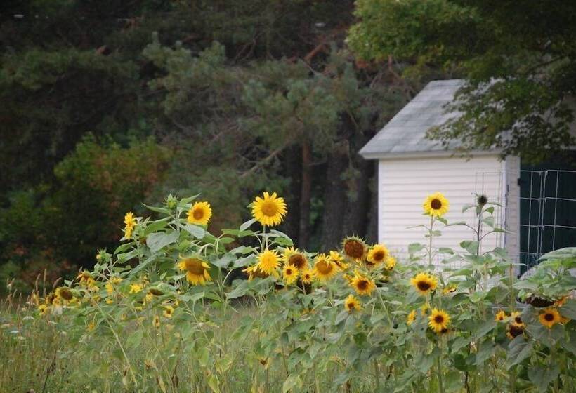 Clary Lake Bed And Breakfast