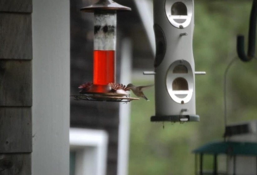 Clary Lake Bed And Breakfast