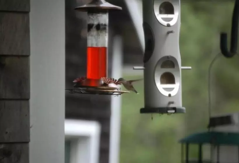 Clary Lake Bed And Breakfast