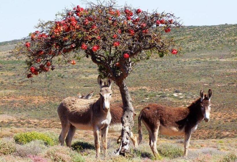 فندق Okiep Country