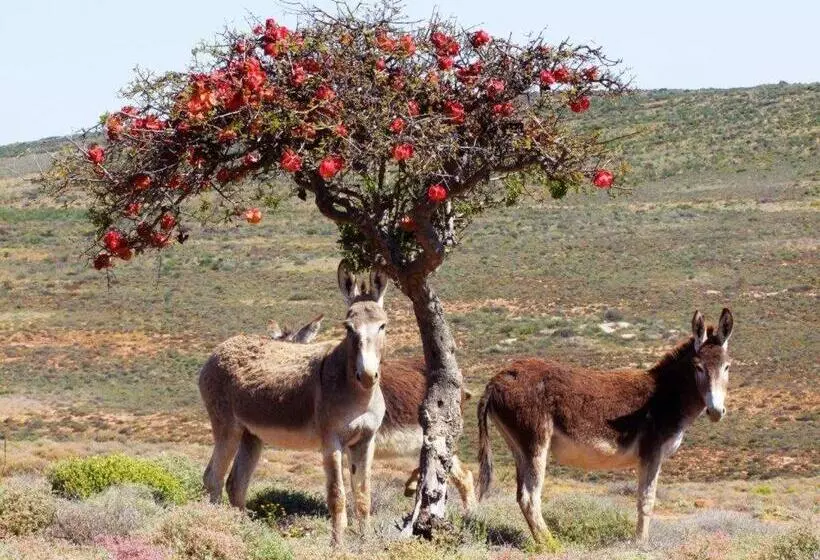 Hotelli Okiep Country