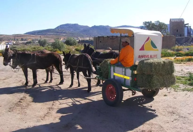 Hotelli Okiep Country