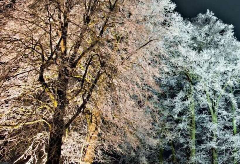 膳宿费 Brungers Landhaus