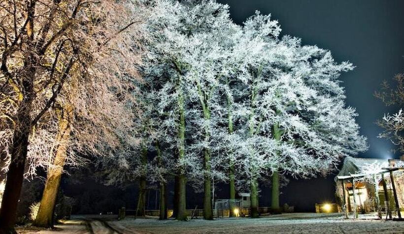 膳宿费 Brungers Landhaus