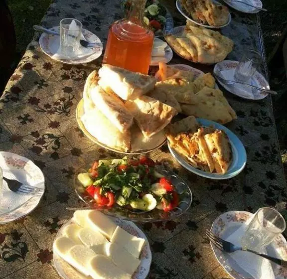 پانسیون Maxvshi
