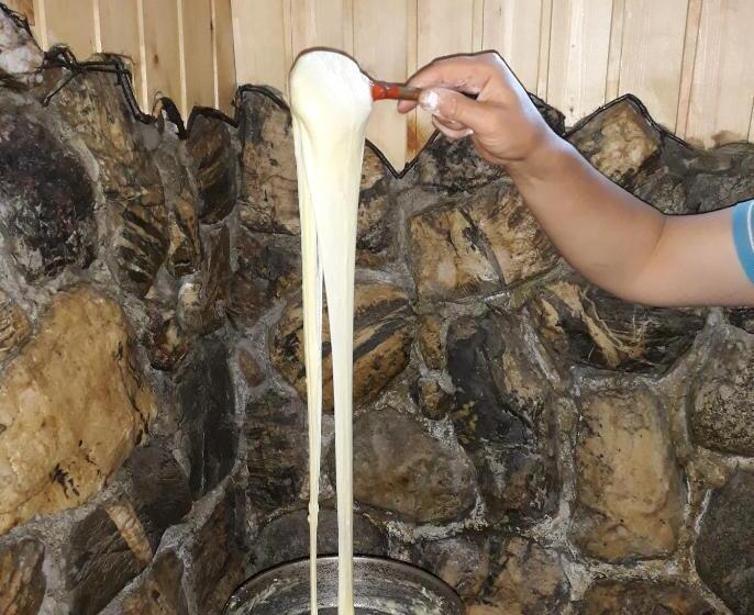 پانسیون Maxvshi