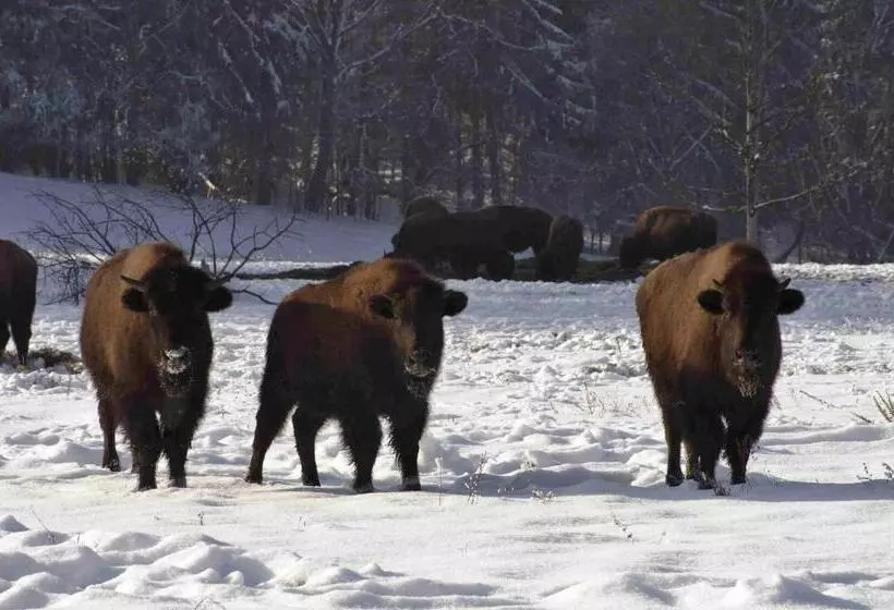 Majatalo Penzion U Candru