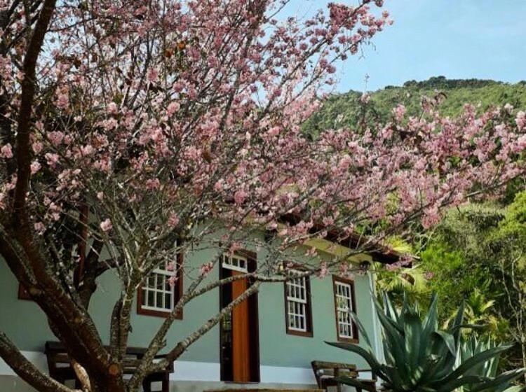 ペンション Pousada Gonçalves