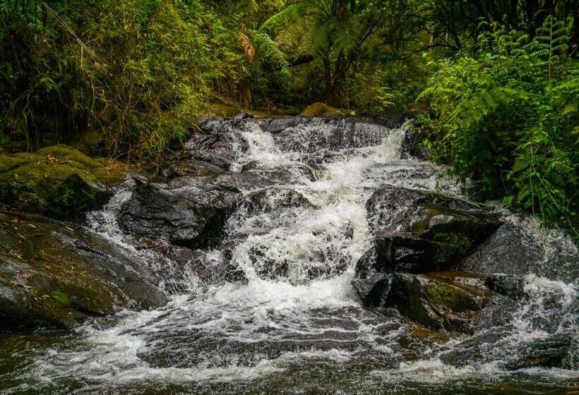 ペンション Pousada Gonçalves