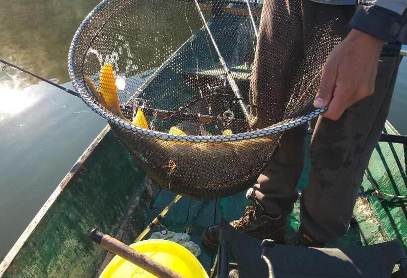 پانسیون Village House Novak Rijecani