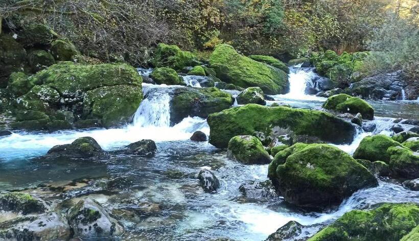 پانسیون Village House Novak Rijecani