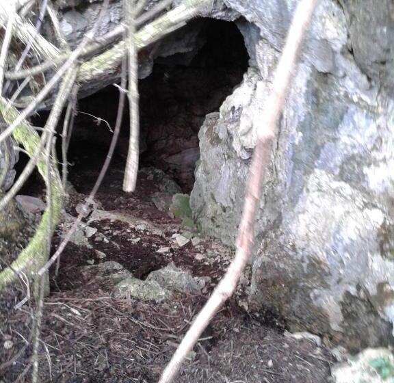 پانسیون Village House Novak Rijecani