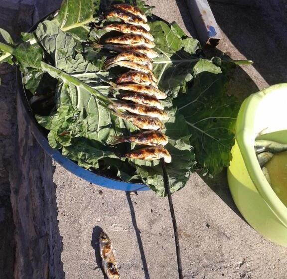 پانسیون Village House Novak Rijecani