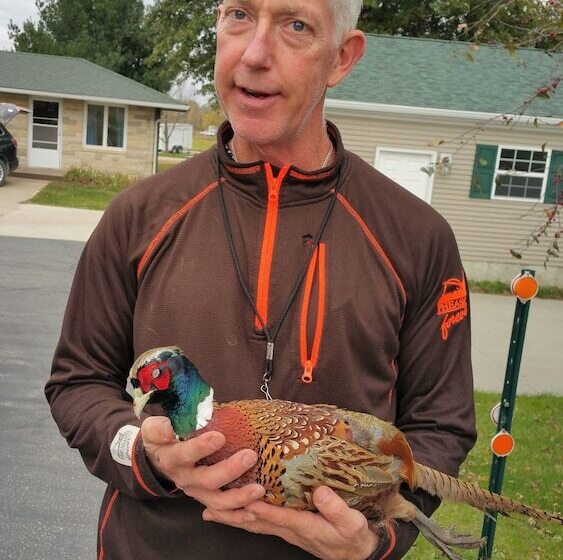 Sudbury Court Motel And Rv Park