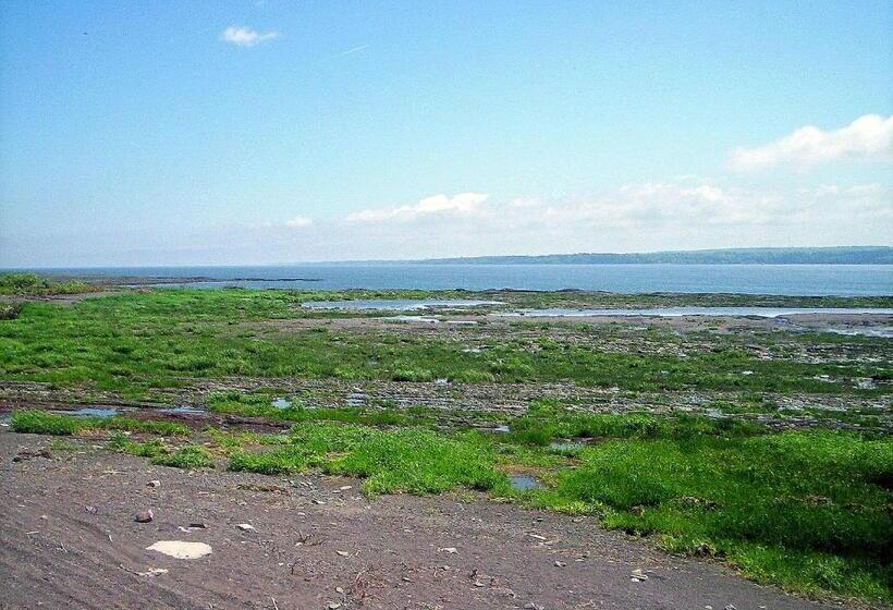 فندق صغير Auberge Les Blancs Moutons