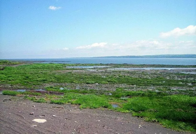 Auberge Les Blancs Moutons