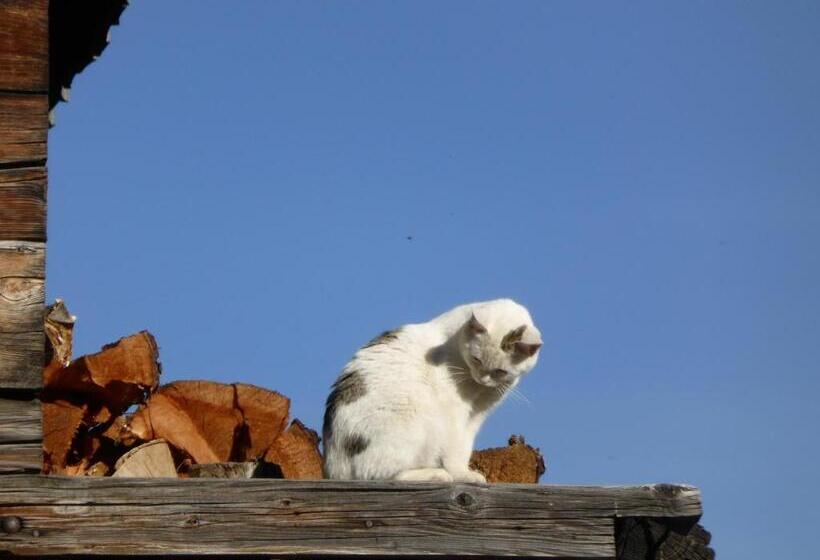 旅馆 Gasthof Islitzer