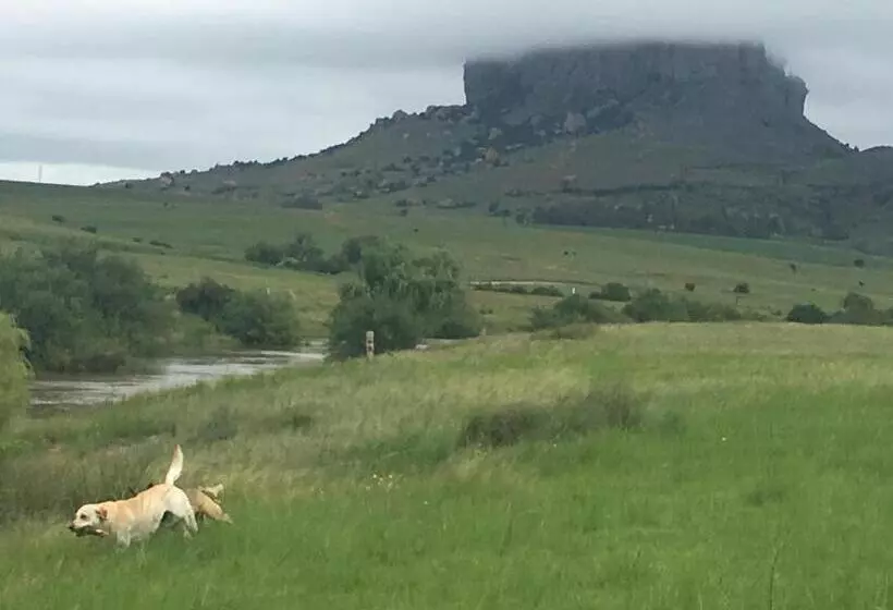 ユースホステル Riverview Country Inn