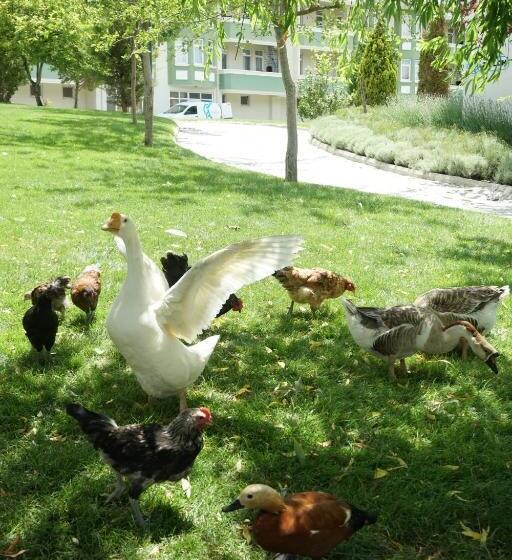 Basaranlar Thermal Otel