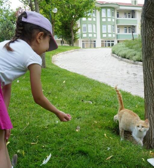 Basaranlar Thermal Otel