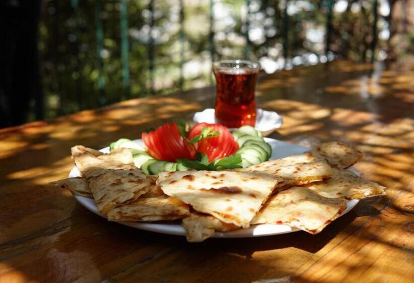 Basaranlar Thermal Otel