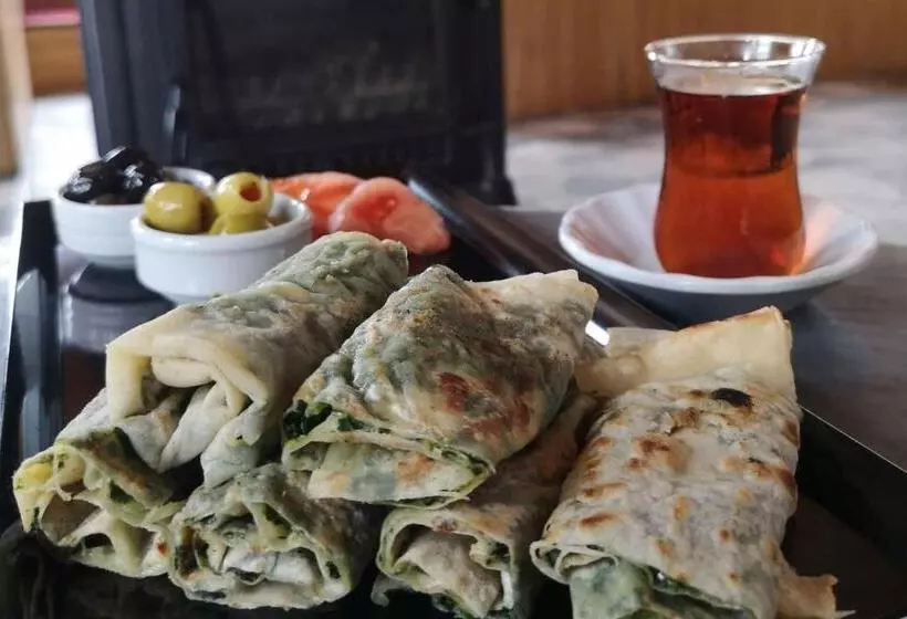 Basaranlar Thermal Otel