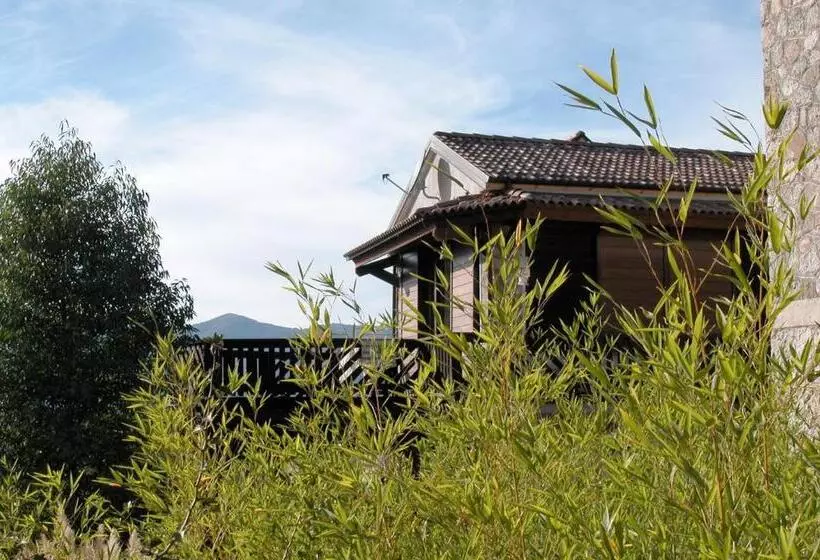 ホテル Azienda Agricola Il Querceto