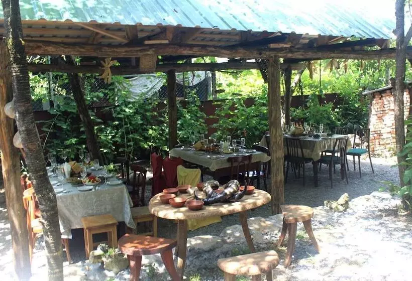 پانسیون Guest House Gallery