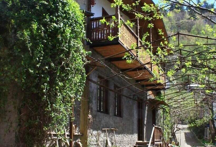 پانسیون Guest House Gallery