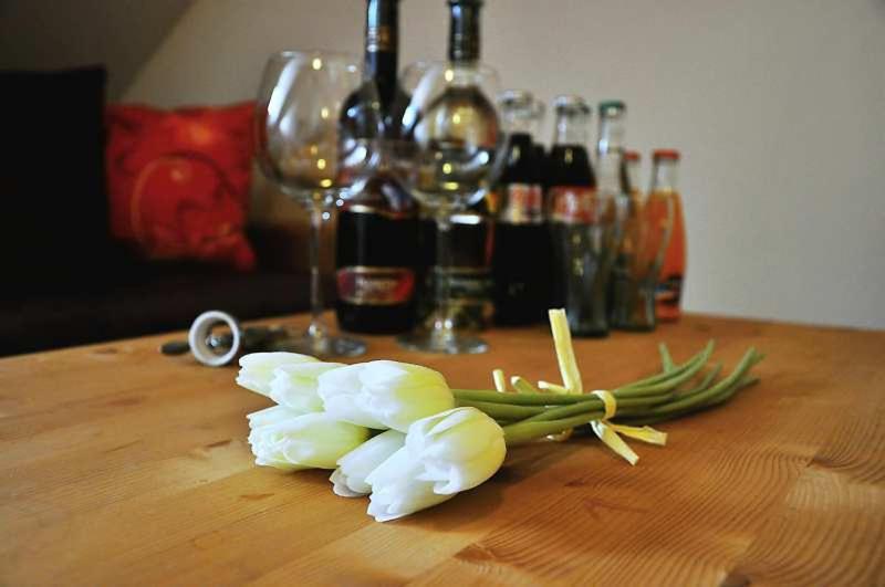 بنسيون Penzión Rosenau