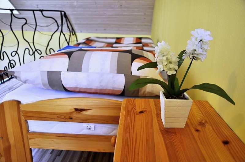 بنسيون Penzión Rosenau