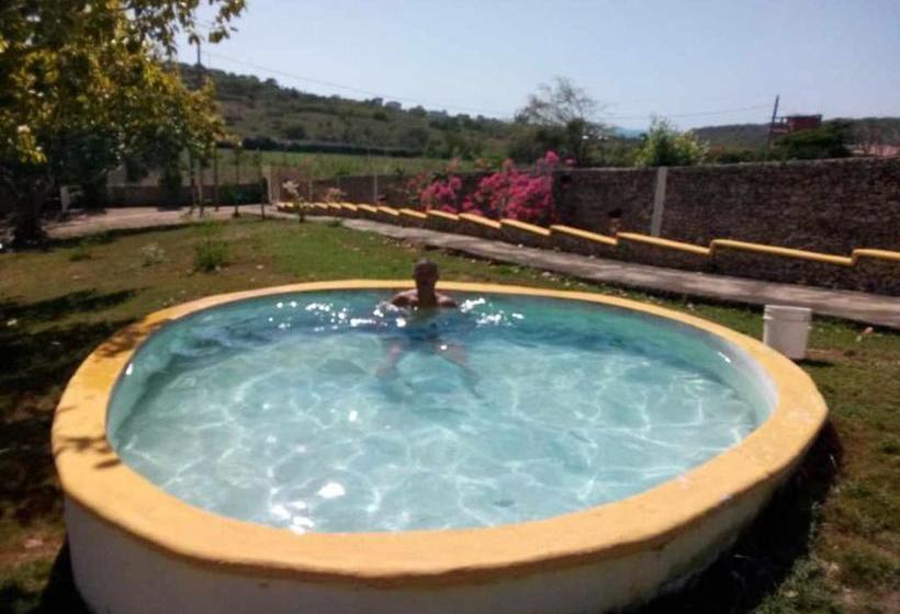 بنسيون Villa Alfonsina