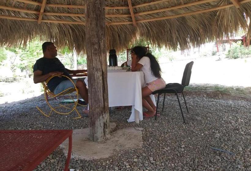 بنسيون Villa Alfonsina