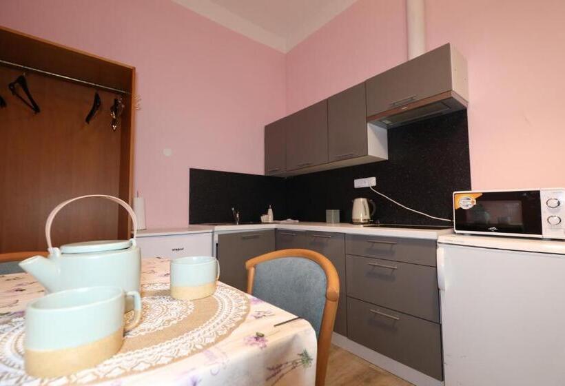 بنسيون Wellness Penzion Kroměříž Zlobice