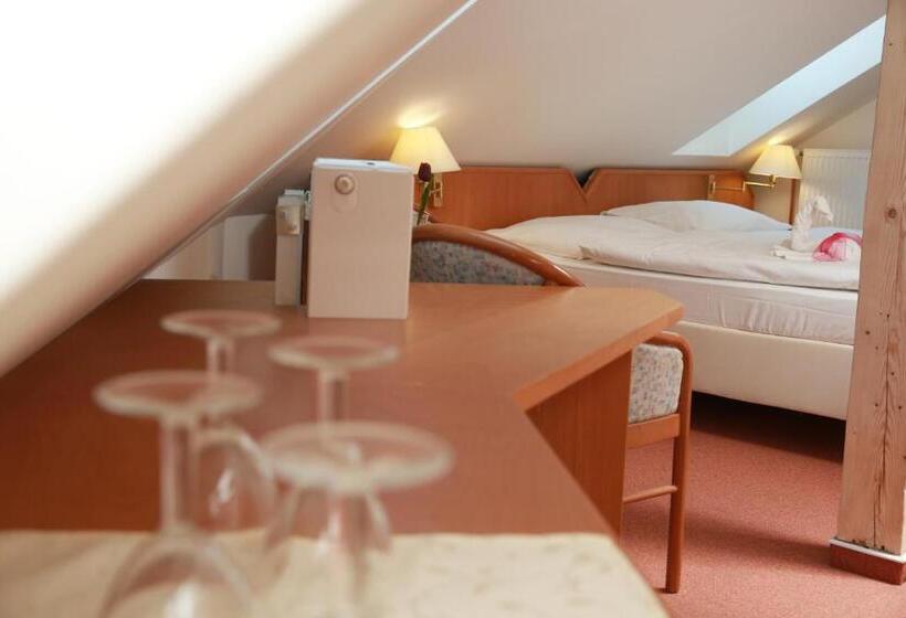 بنسيون Wellness Penzion Kroměříž Zlobice