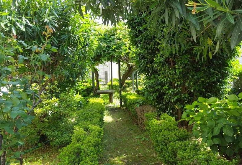 Albergue Convento Del Camino