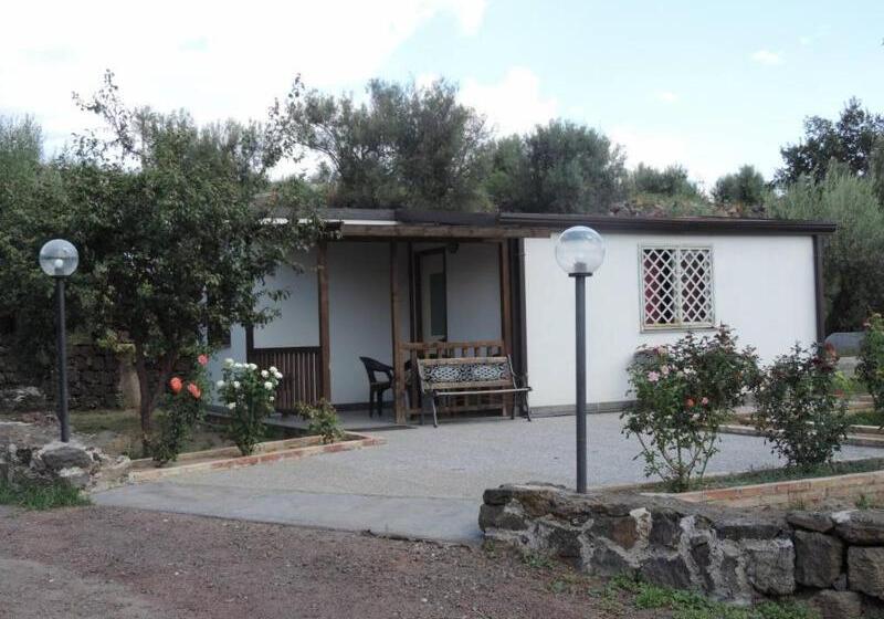 تختخواب و صبحانه Acquarossabed