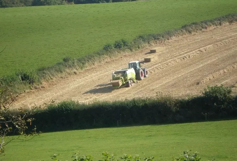 Aamiaismajoitus (B&B) Pillowery Park