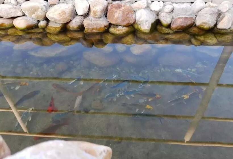 Majatalo Pousada Canto Dos Canários