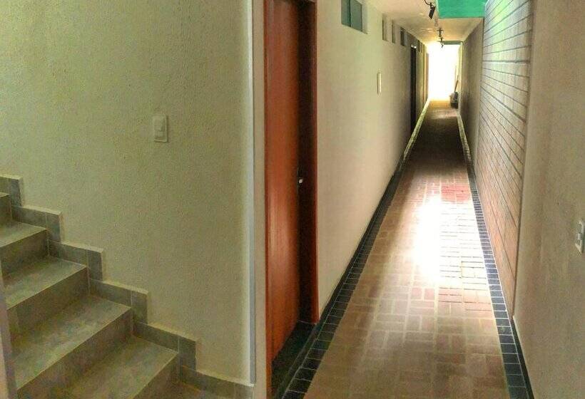 ペンション Pousada Paraíso Maragogi