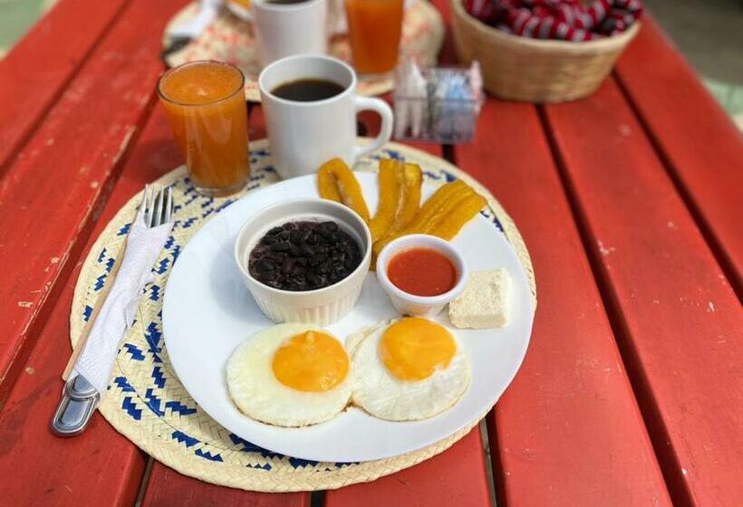 پانسیون Muchá