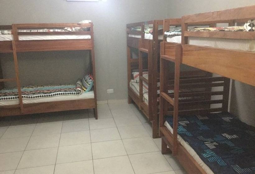 هاستل Baobab Backpackers Lodge