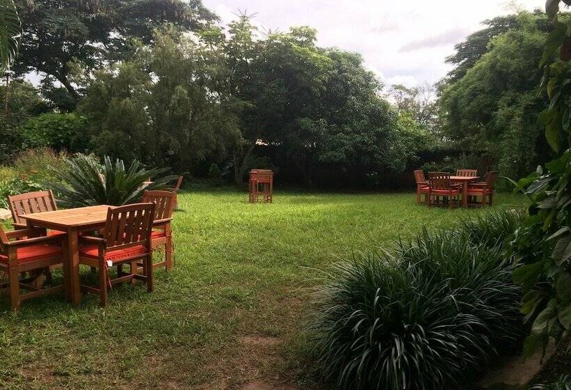 هاستل Baobab Backpackers Lodge