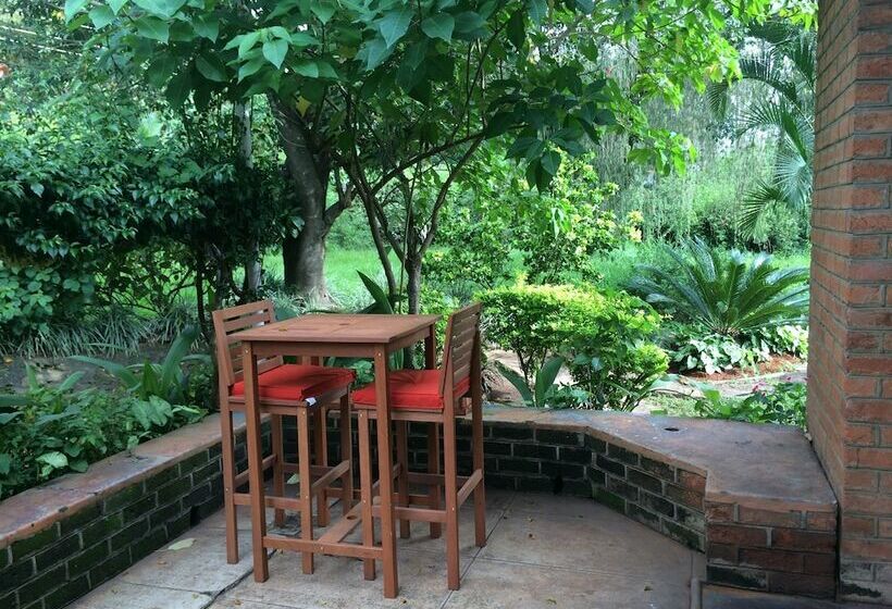 هاستل Baobab Backpackers Lodge