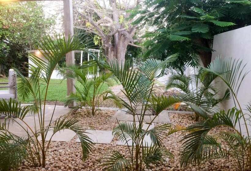 Baobab Beach House Bed & Breakfast
