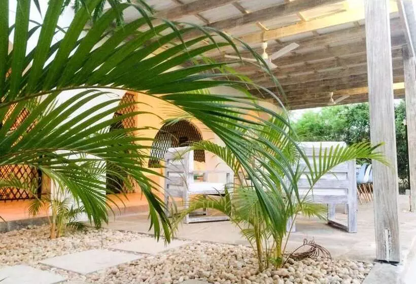 Baobab Beach House Bed & Breakfast