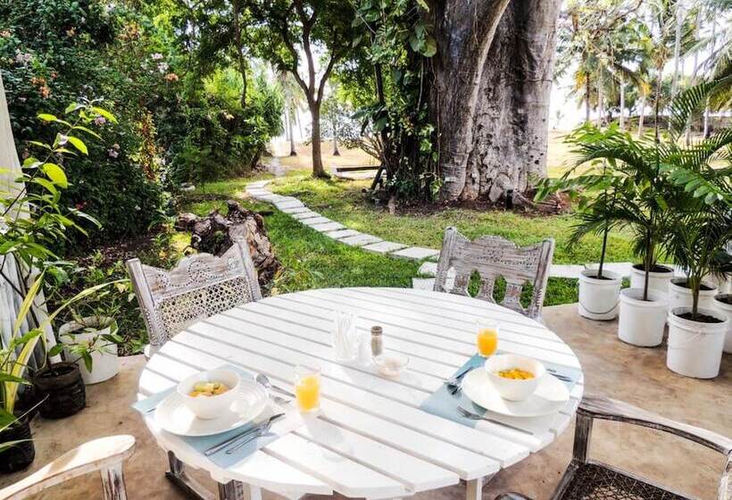 Baobab Beach House Bed & Breakfast