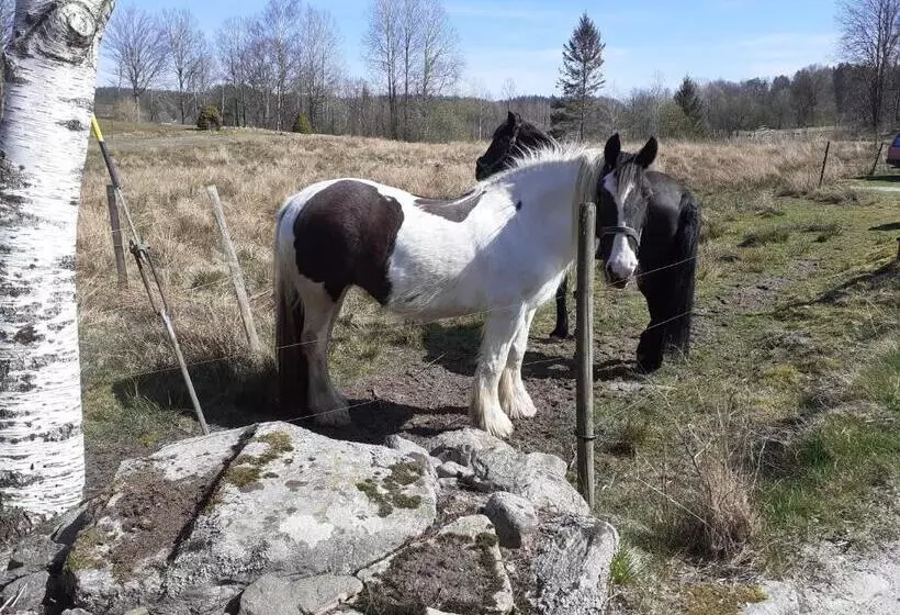 ベッドアンドブレックファースト Villa Ekegården