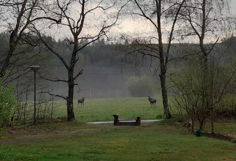 ベッドアンドブレックファースト Villa Ekegården