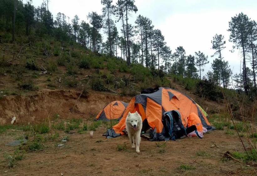 펜션 21c Lijiang Scenery Guesthouse